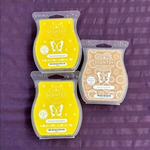 Scentsy Wax Melts Set - Coconut Lemongrass & Baked Apple Pie